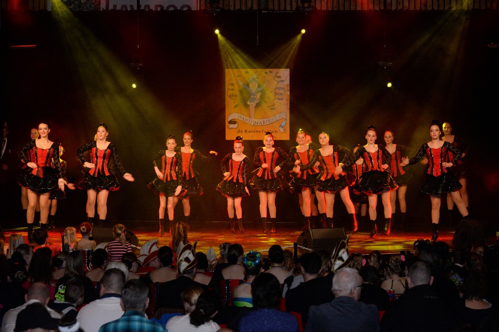 ../Images/Dansmariekefestival 2019 166.jpg